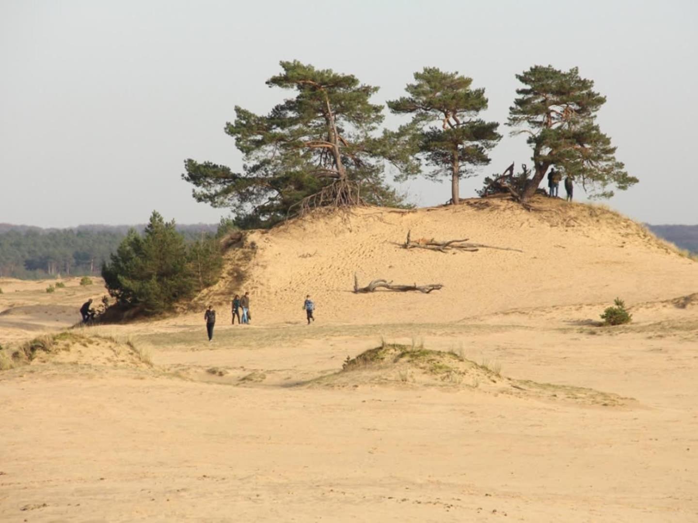 Op Rustig Bospark Veluwe Hébergement de vacances *