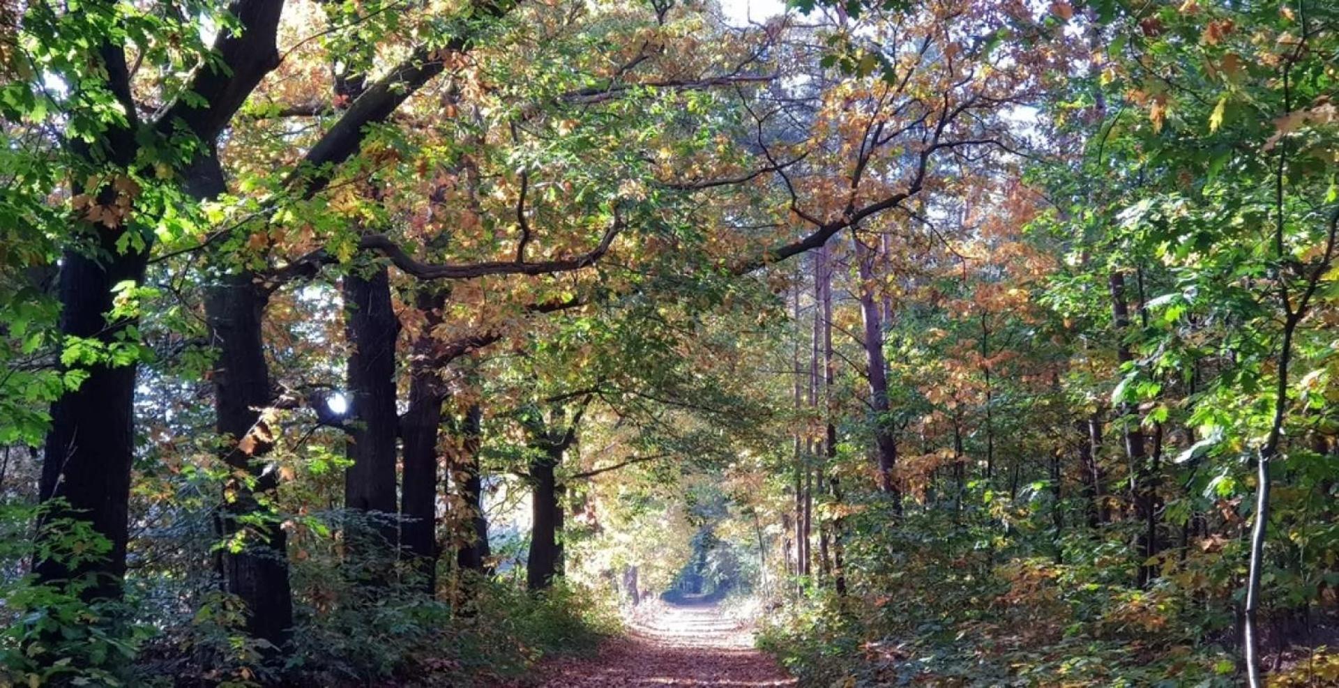 Holiday home Op Rustig Bospark Veluwe