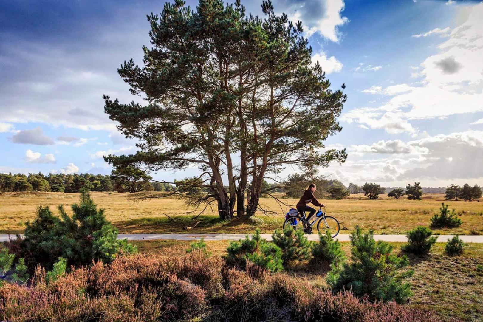 Op Rustig Bospark Veluwe Voorthuizen