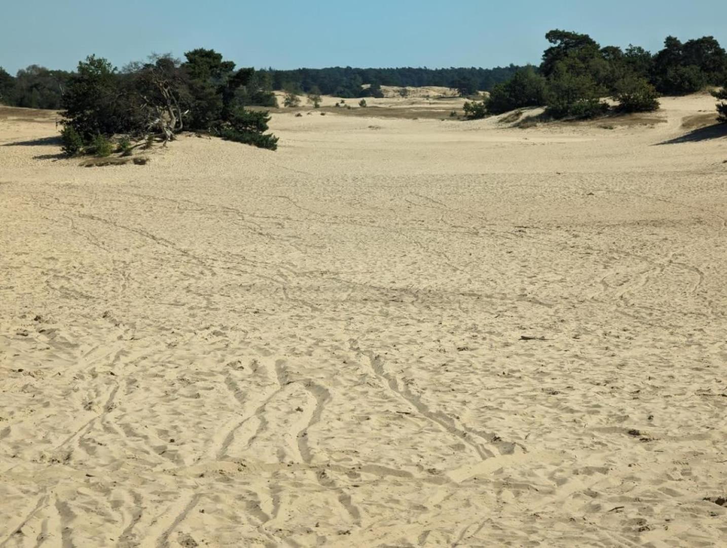 Op Rustig Bospark Veluwe