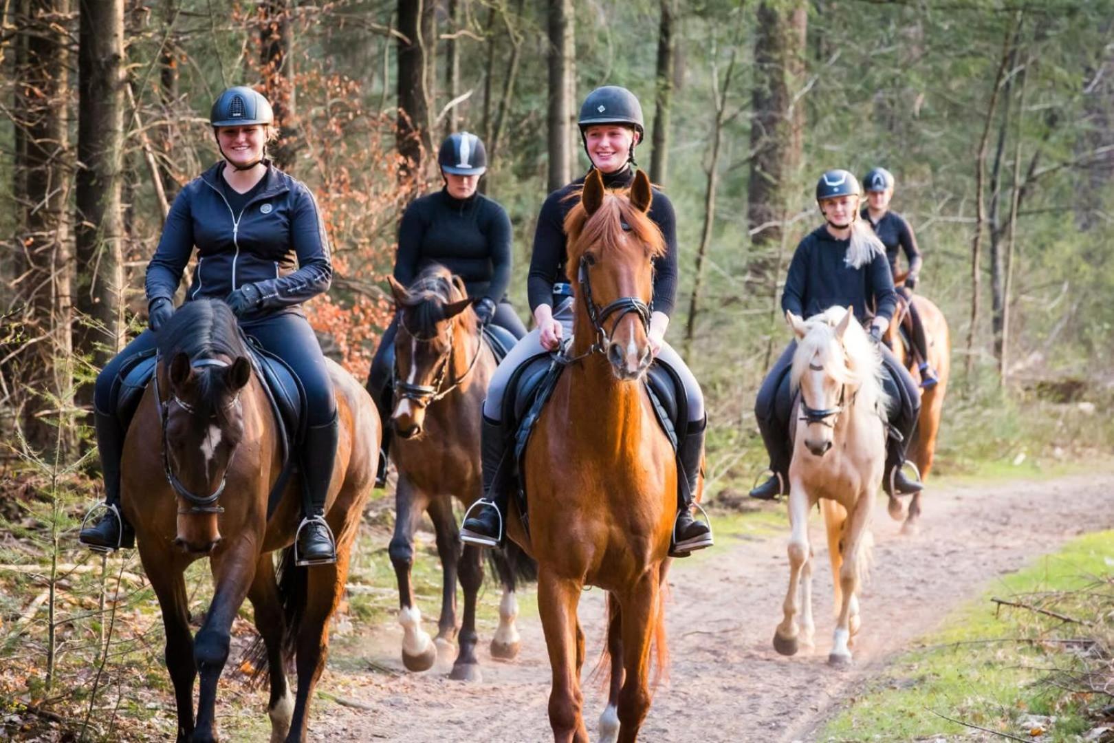 Hébergement de vacances Op Rustig Bospark Veluwe Voorthuizen
